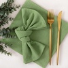 Cloth Napkins Fall Washable Reusable Linen Wedding Party Home Table Decor(Sage Green)